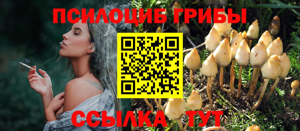 Галлюциногенные грибы мицелий Дедовск